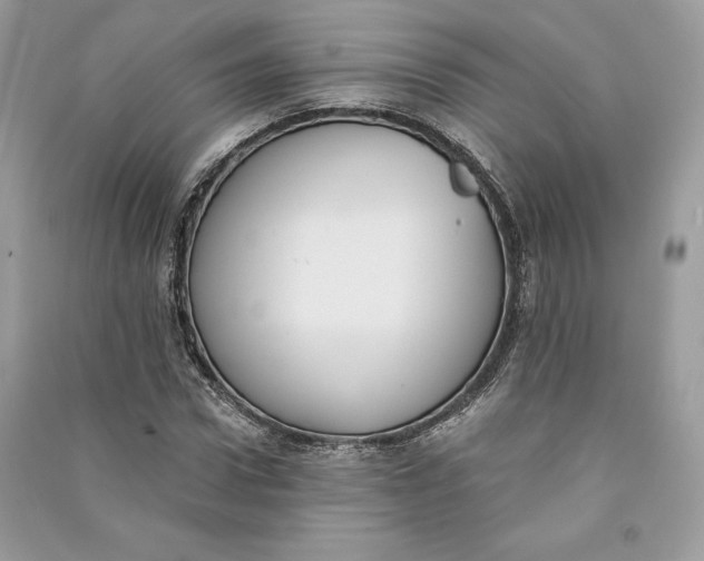 X0000090710922200708101502