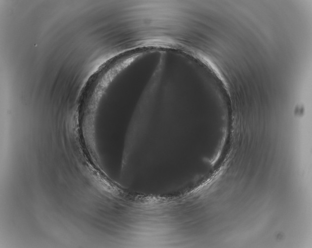 X0000090710923200708101502