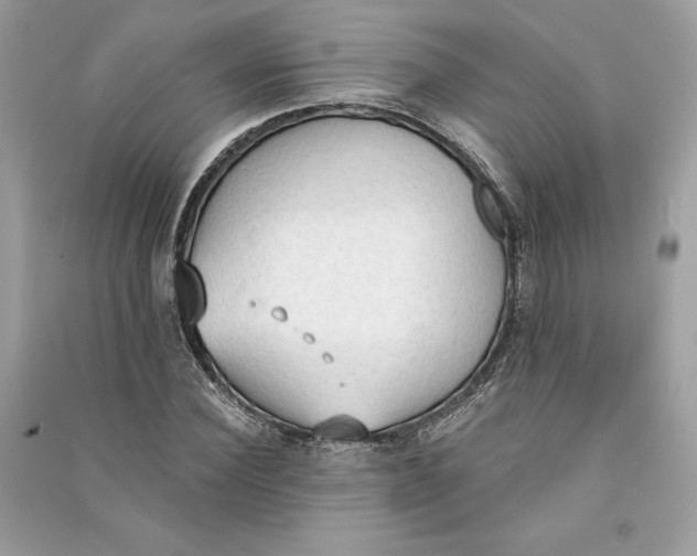 X0000090710924200708101502