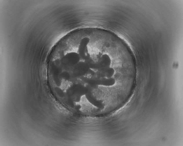 X0000090710925200708101502