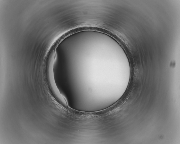 X0000090710926200708101502