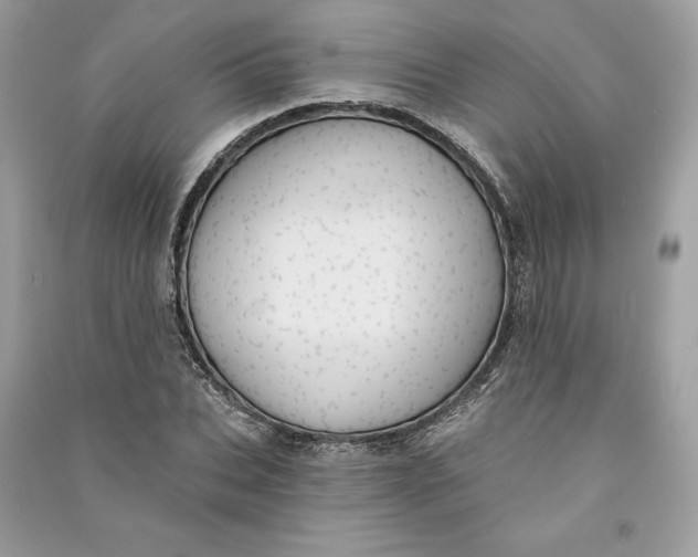 X0000090710927200708101502