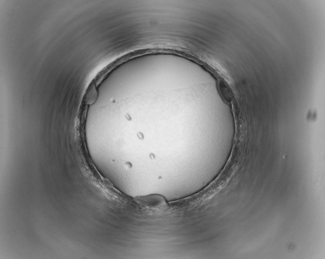 X0000090710928200708101502