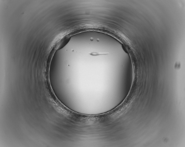 X0000090710930200708101502