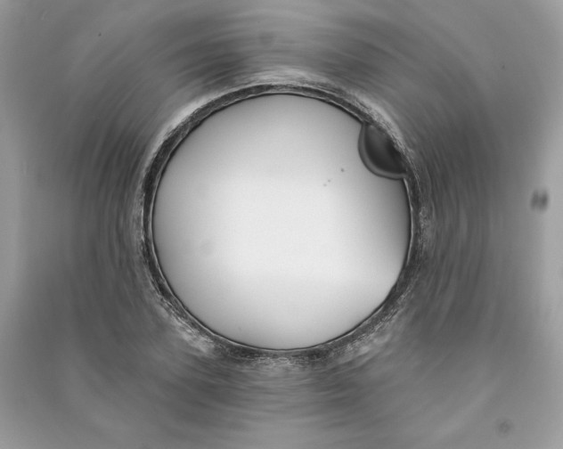 X0000090710931200708101502