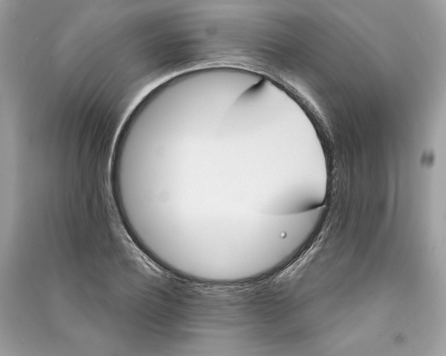 X0000090710932200708101502