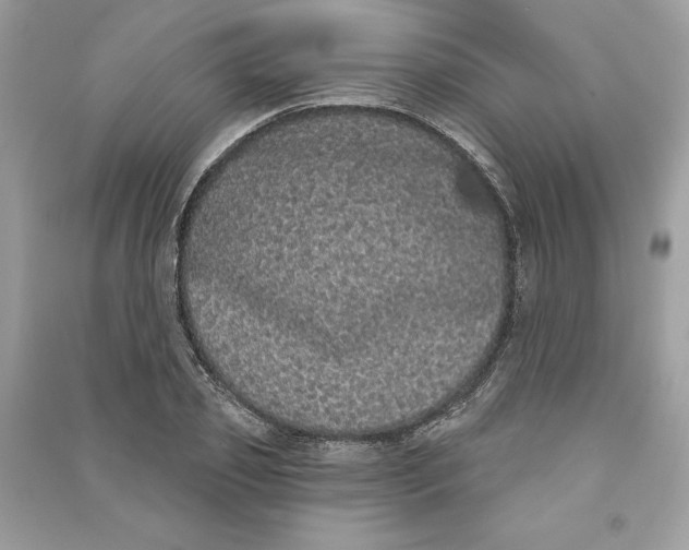 X0000090710933200708101502