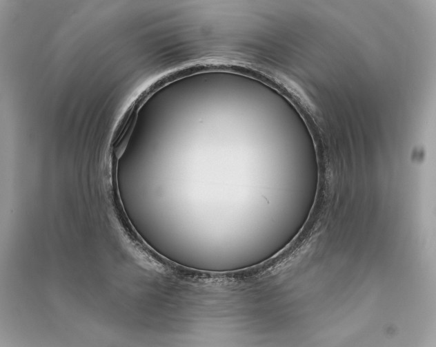 X0000090710934200708101502