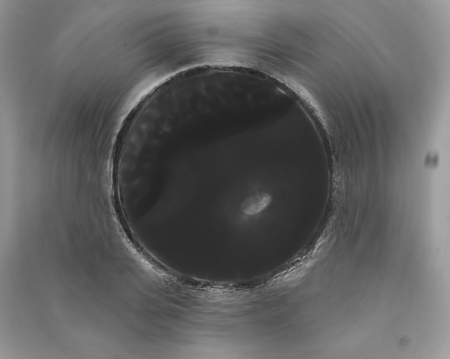 X0000090710935200708101502