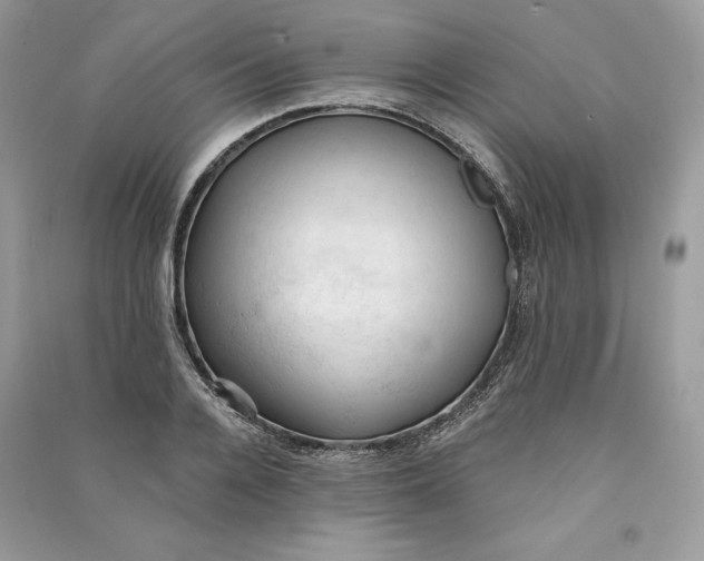 X0000090710936200708101502