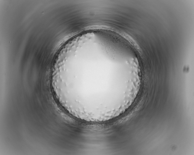 X0000090710937200708101502