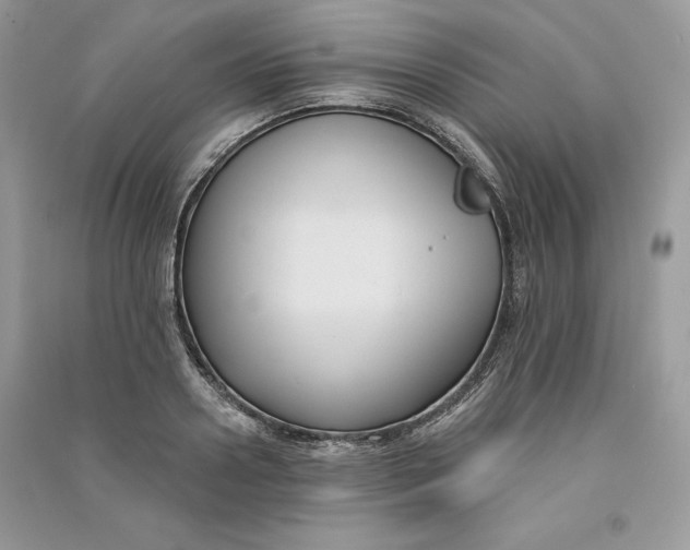 X0000090710938200708101502