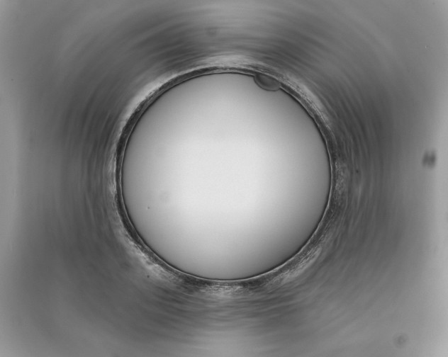 X0000090710939200708101502