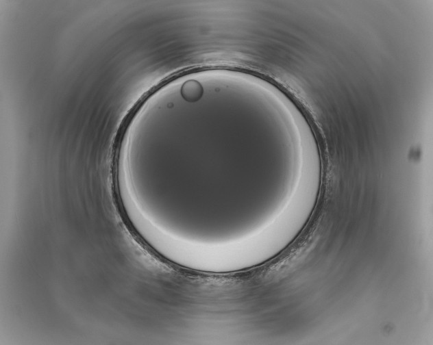 X0000090710941200708101502