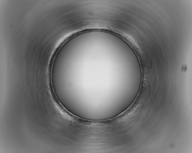 X0000090710942200708101502