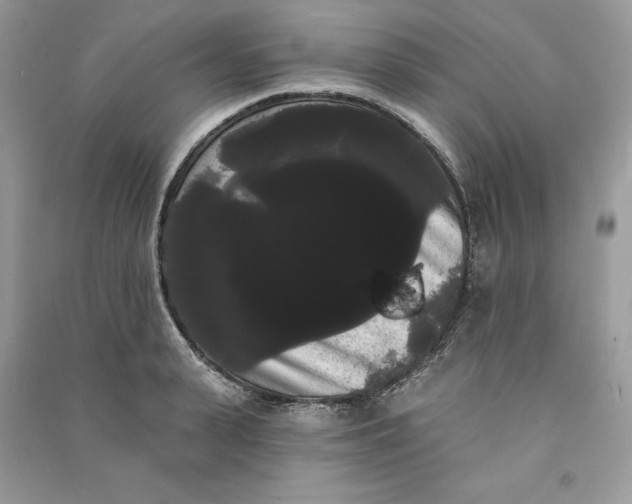 X0000090710943200708101502