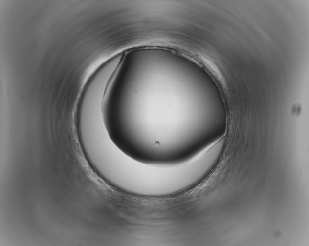 X0000090710944200708101502