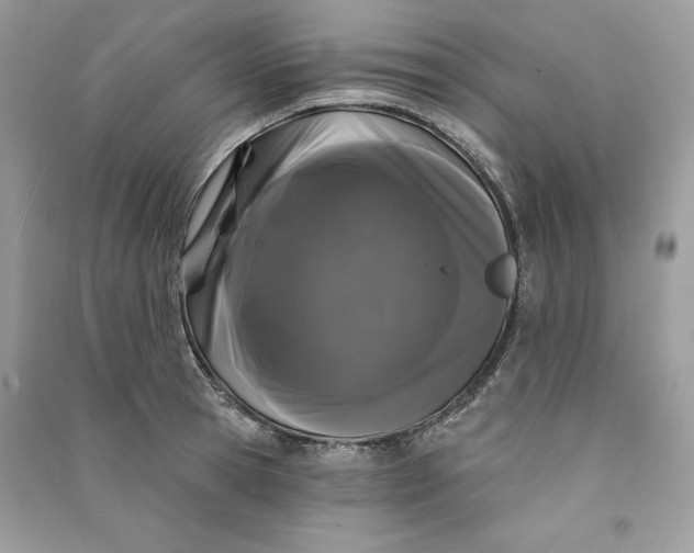 X0000090710945200708101502