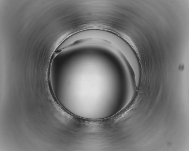 X0000090710946200708101502