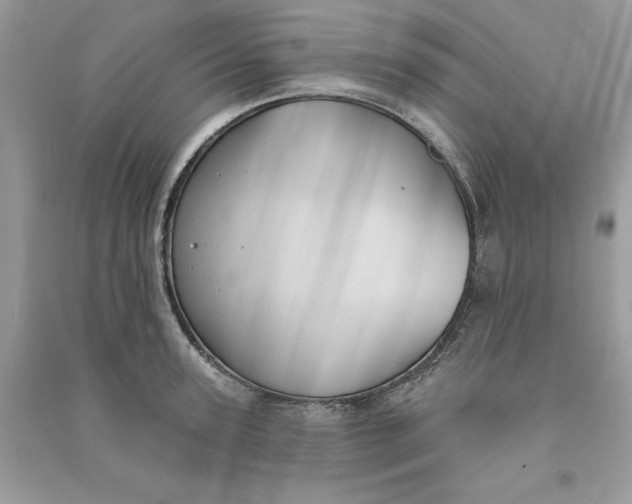 X0000090710947200708101502