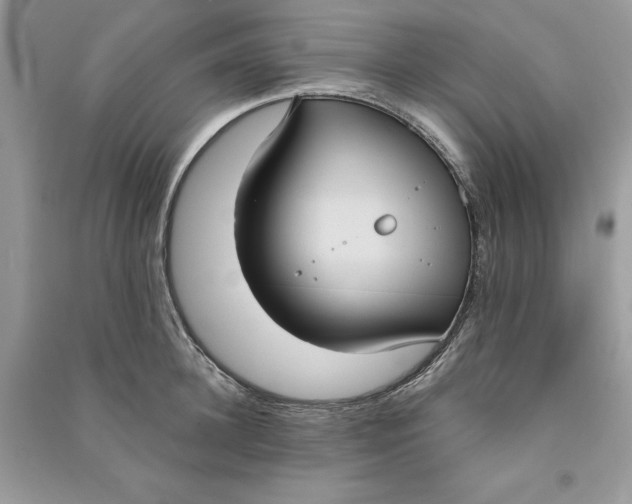 X0000090710948200708101502