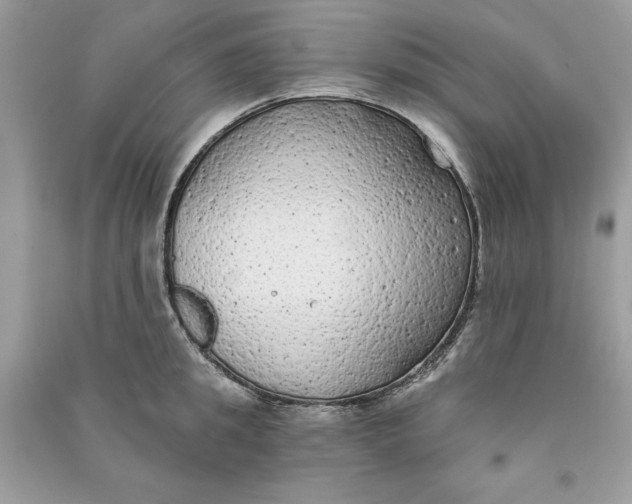 X0000090710949200708101502