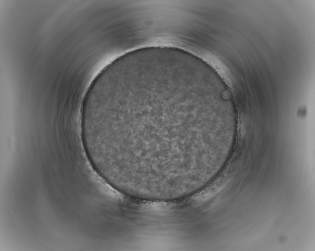 X0000090710950200708101502