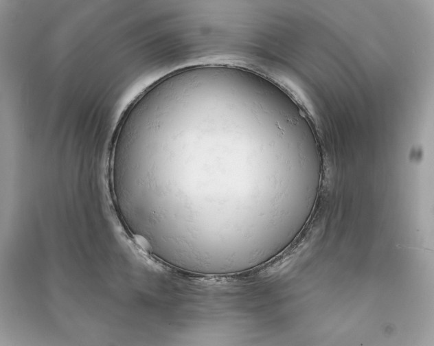 X0000090710952200708101502