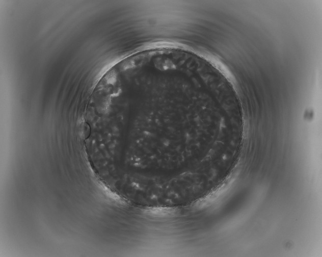 X0000090710953200708101502