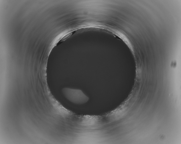 X0000090710954200708101502