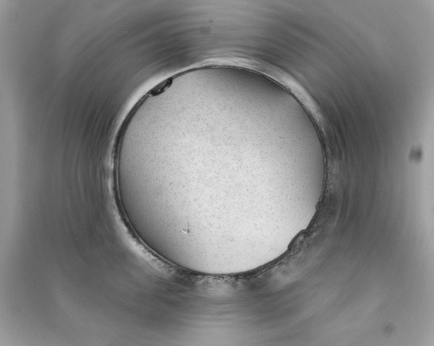 X0000090710955200708101503