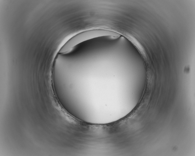 X0000090710956200708101503