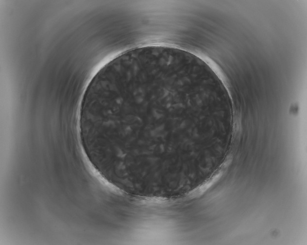 X0000090710957200708101503