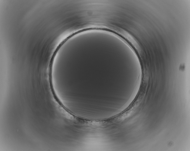 X0000090710958200708101503