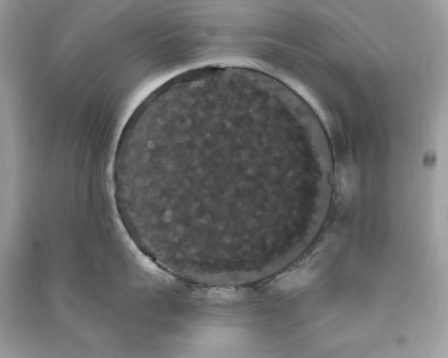 X0000090710959200708101503