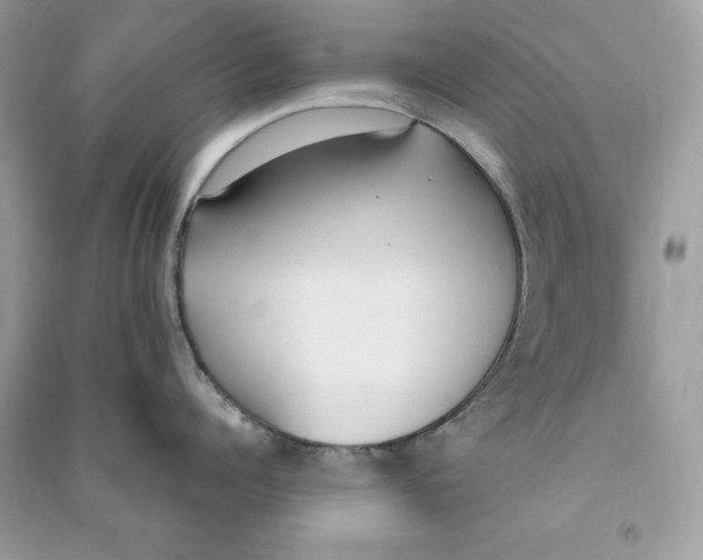 X0000090710960200708101503