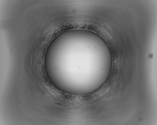 X0000090710961200708101502