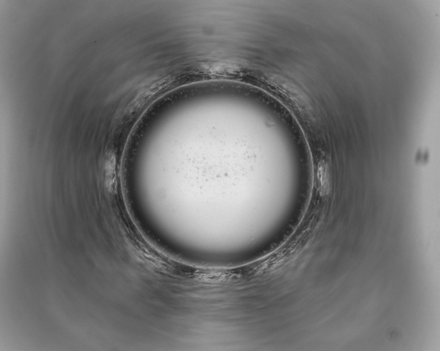 X0000090710963200708101502