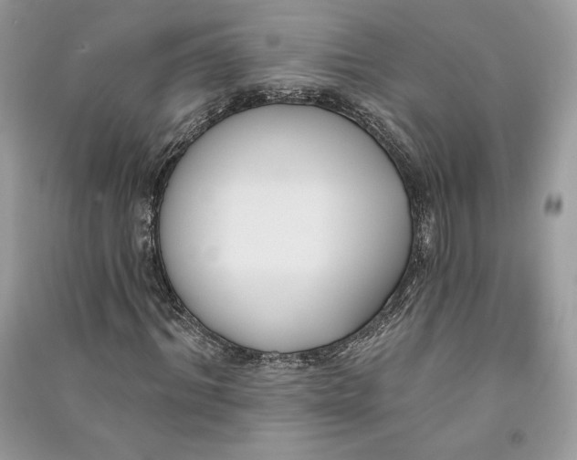 X0000090710964200708101502