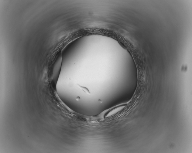 X0000090710965200708101502