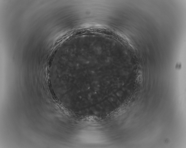 X0000090710966200708101502