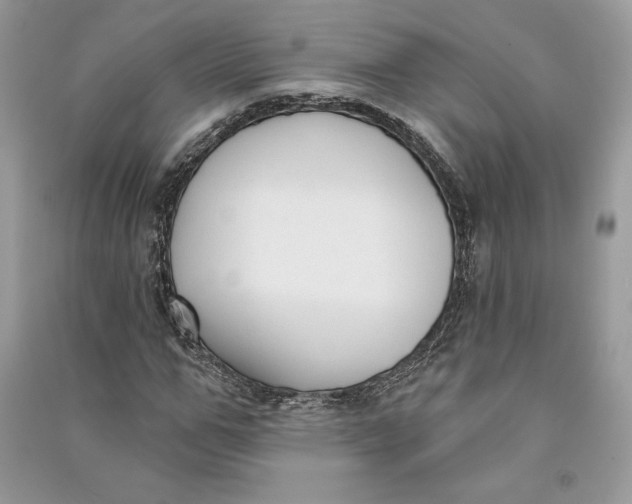 X0000090710967200708101502