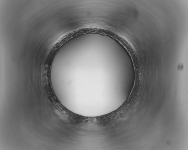 X0000090710968200708101502