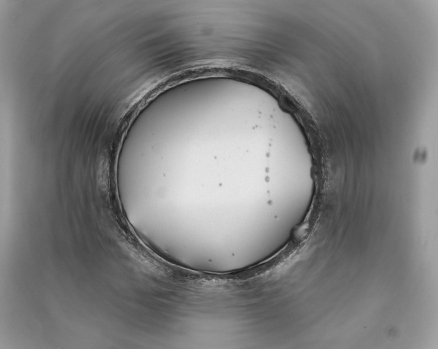 X0000090710969200708101502