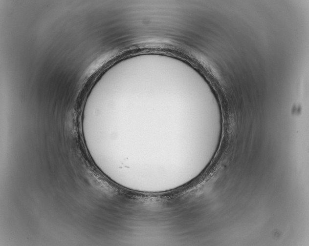 X0000090710970200708101502