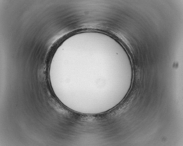 X0000090710971200708101502