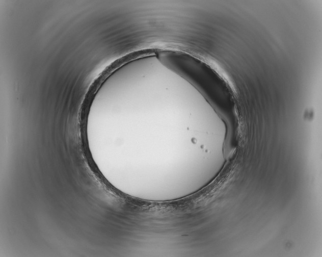 X0000090710972200708101502