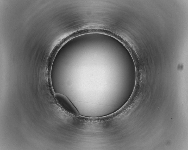 X0000090710973200708101502