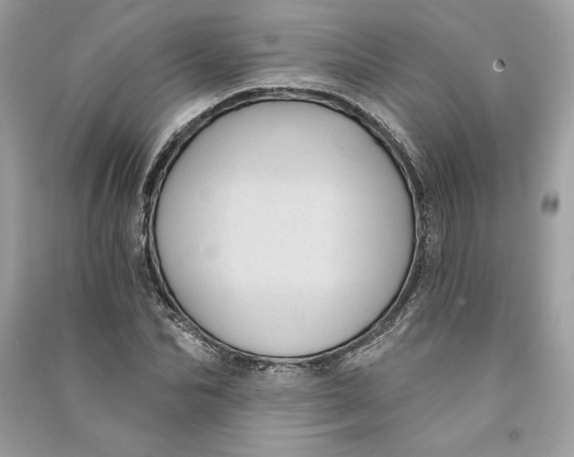 X0000090710974200708101502