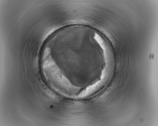 X0000090710975200708101502